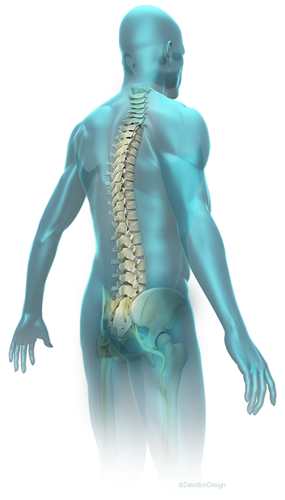 Chiropractic Care Amherst New York