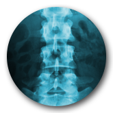 Back Pain Care